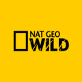 Nat Geo Wild