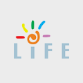 Amazing Life