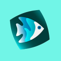Fishy Fishy