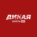 Дикая охота HD